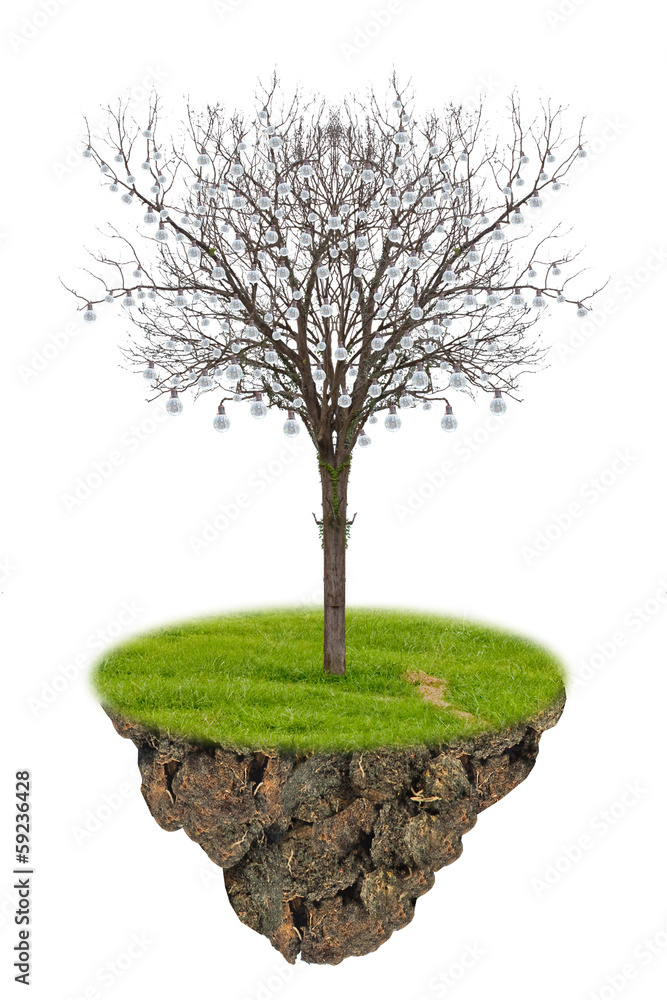 Obraz premium The single dead tree.