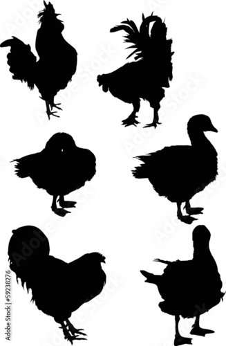 six farm bird black silhouettes