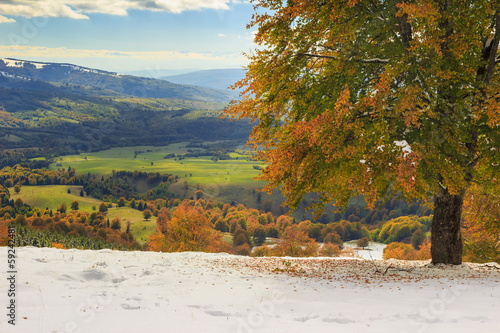 Beautiful autumn landscape in the forest,Carpathians,Transylvani photo