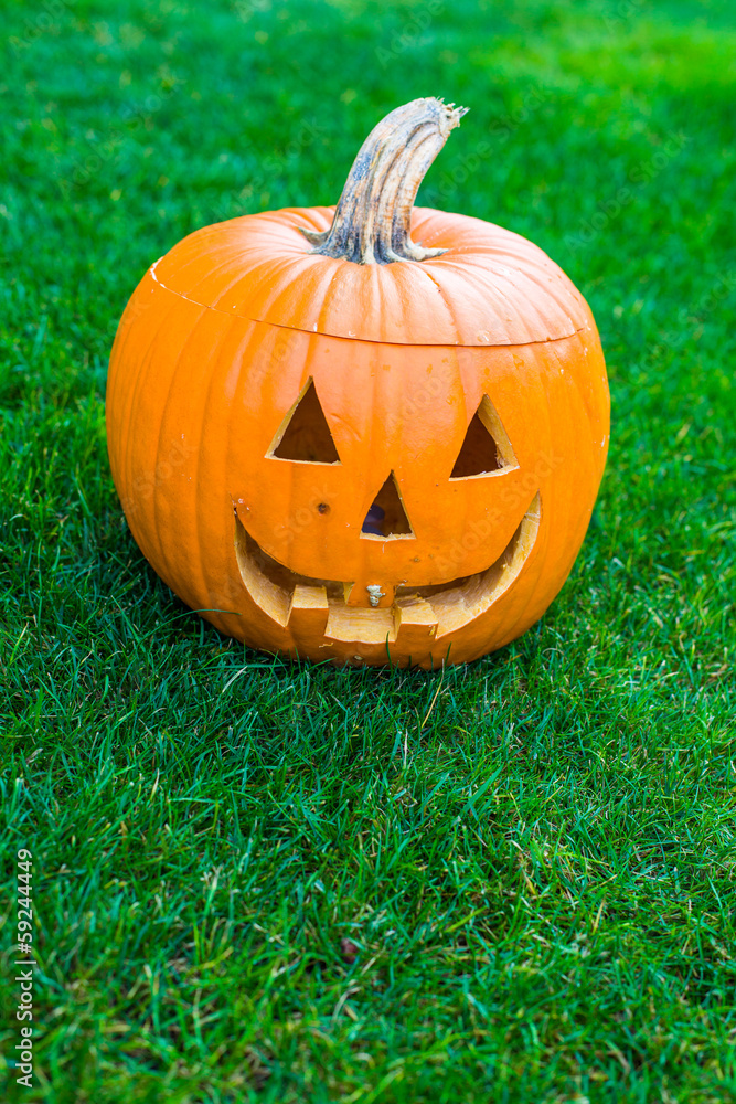 Obraz premium Jack-o-lantern on green grass