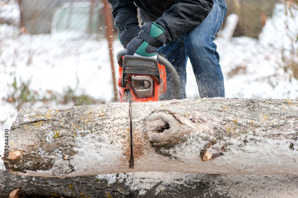 Man cutting trees and fire wood during winter in garden Man cutting trees and fire wood during winter in garden