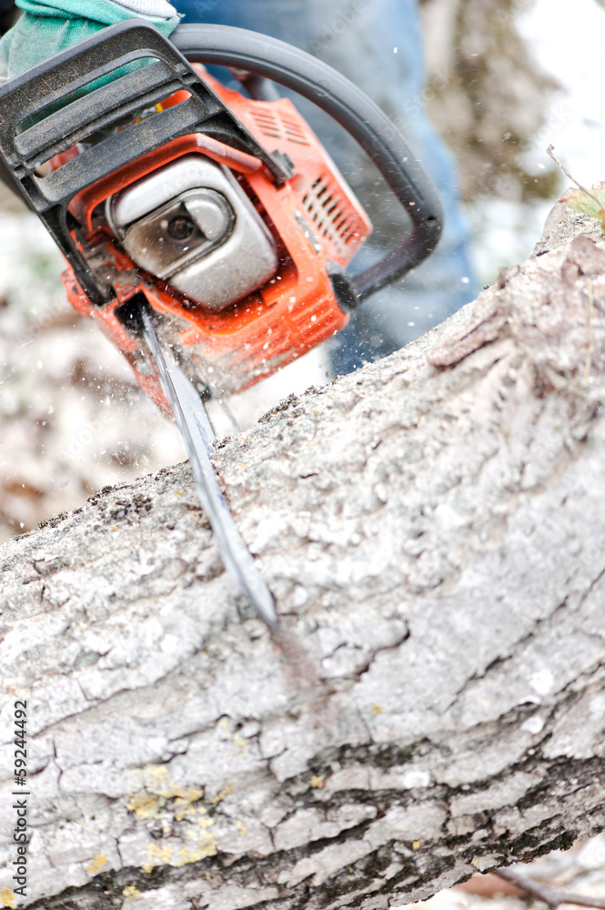 Close-up of chainsaw cutting trees and firewood for winter