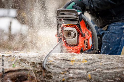 Close-up of man cutting trees from forest with chainsaw © aboutmomentsimages