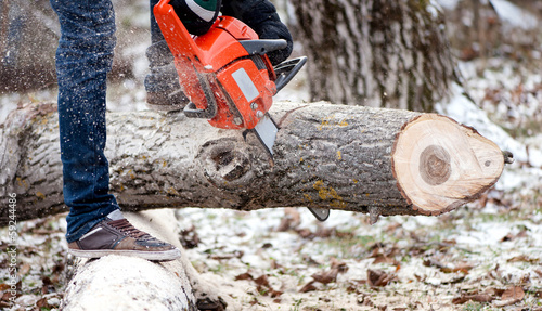 Agricultural activities - Man cutting trees with chainsaw