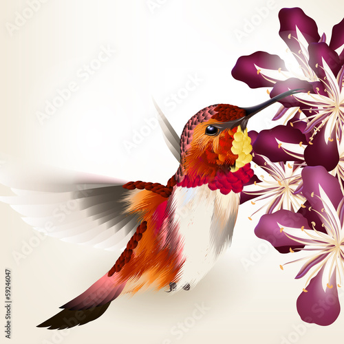 Beautiful vector realistic humming bird with flowers
