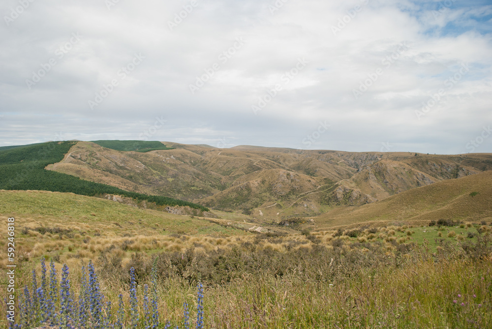 Naklejka premium golden field Landscape with mountains