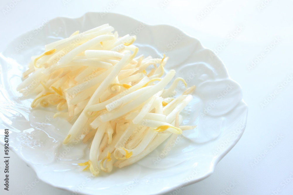 food ingredient, soy sprout Moyashi food ingredient, soy sprout Moyashi