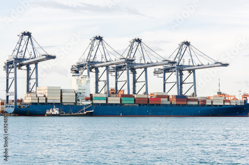 Cargo sea port and Sea cargo cranes