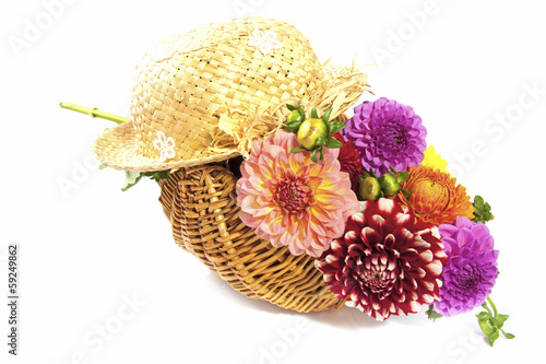 Fototapeta Naklejka Na Ścianę i Meble -  Colorful dahlia