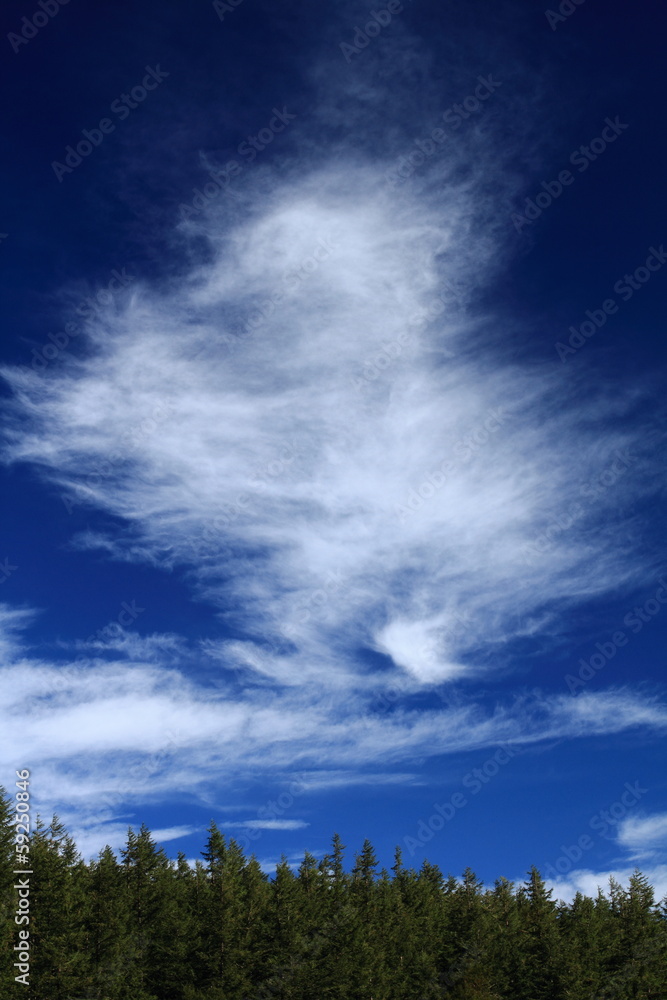 初秋の空