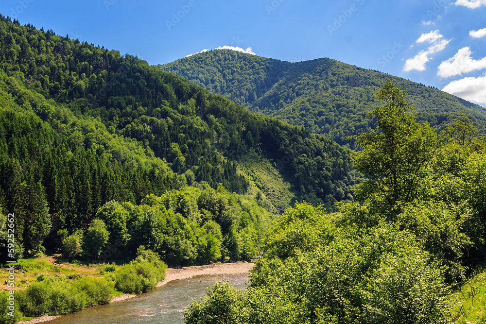Mountain river near forest