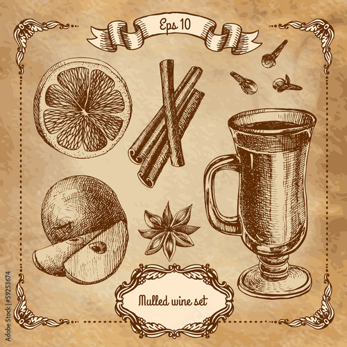 Set of mulled wine, fruit and spices, hand drawn illustrations