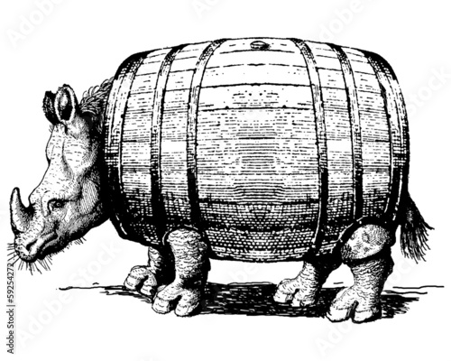 Rhinocéros-tonneau