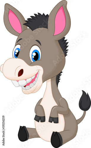 Cute baby donkey cartoon