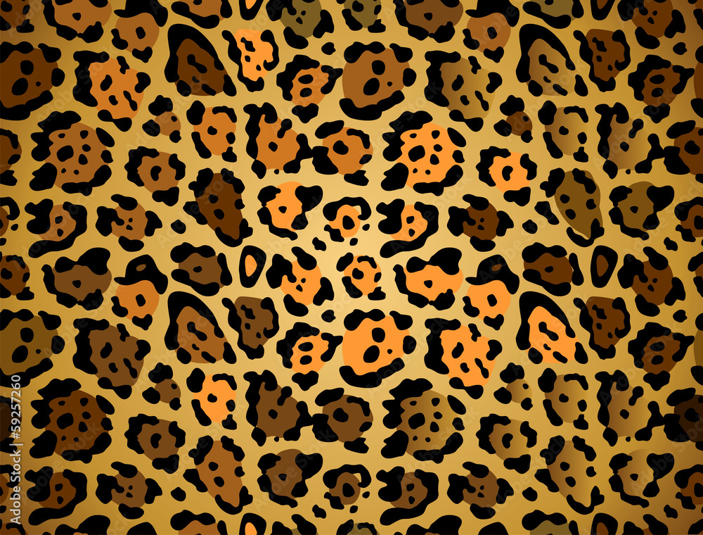 Seamless leopard pattern Seamless leopard pattern