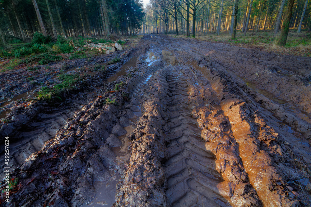 Obraz premium Tire tracks in a muddy path through a forest