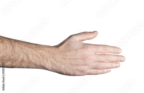 Wallpaper Mural Empty open hand on white background Torontodigital.ca