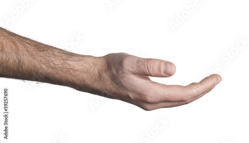 Wallpaper Mural Empty open hand on white background Torontodigital.ca