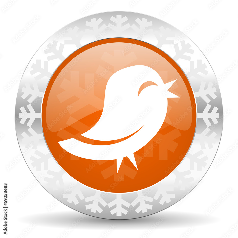 twitter icon twitter icon