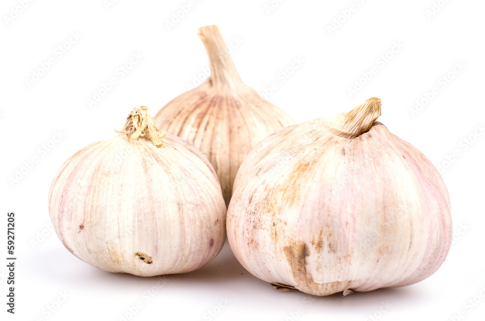 Fototapeta premium Garlic