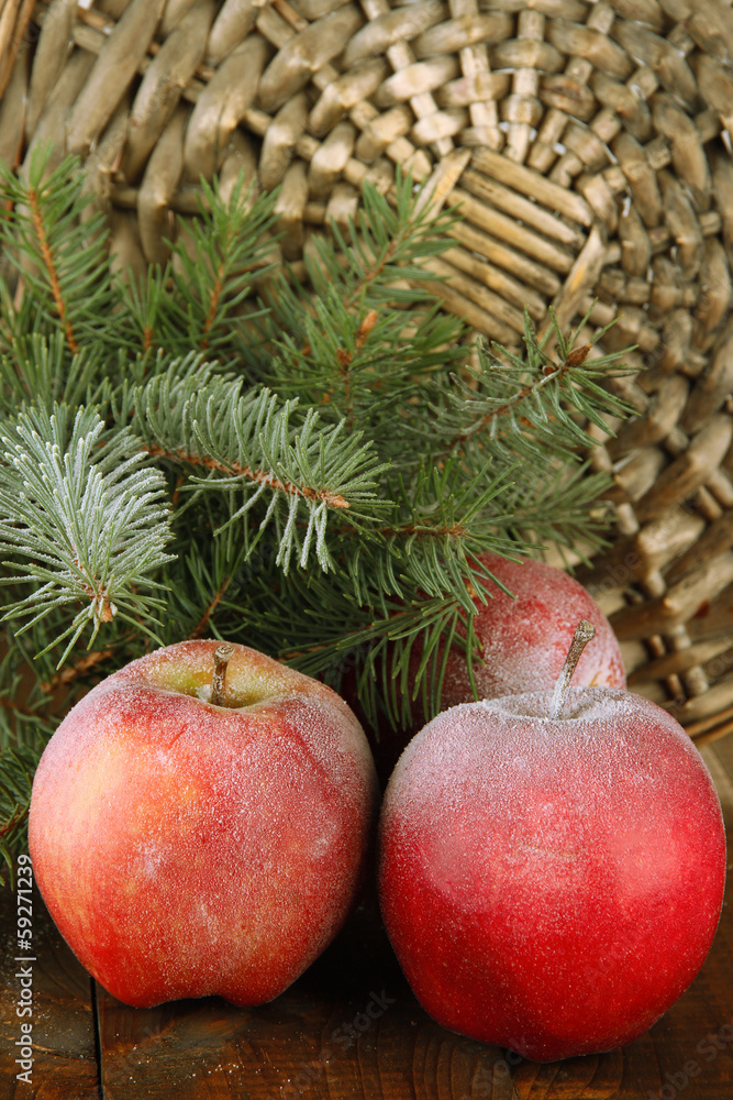 Obraz premium Red frosted apples with fir branch on table on wicker