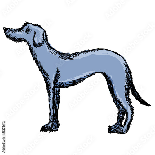 deerhound