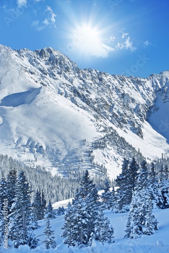 Winter Alpine Landscape photo