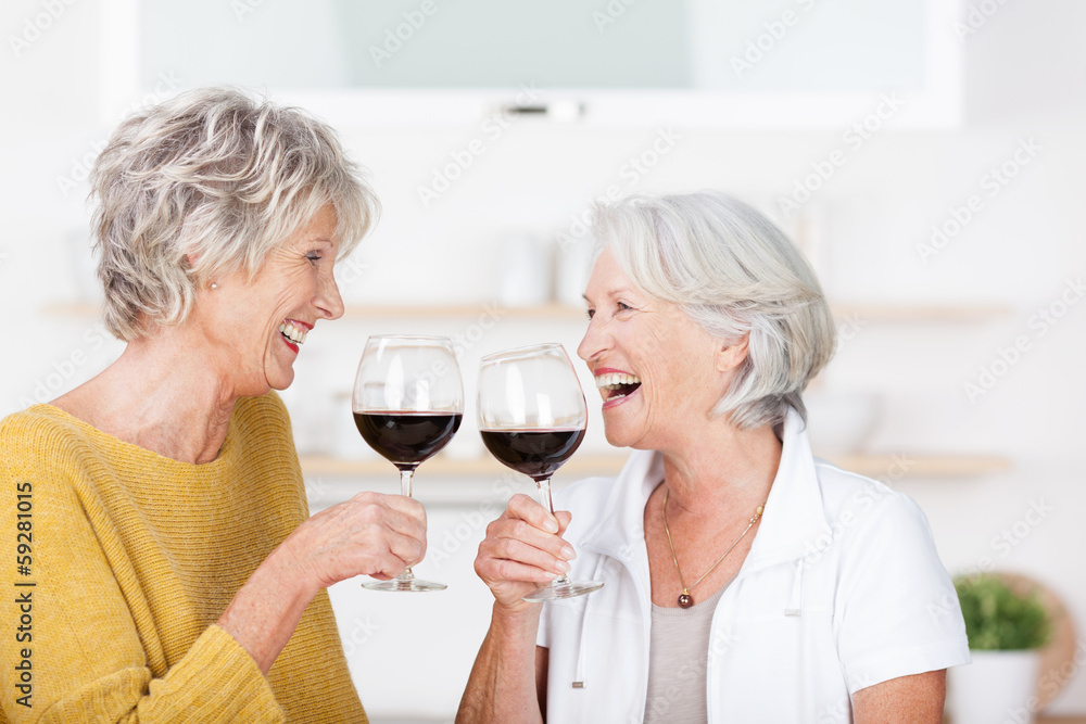 zwei seniorinnen genießen ein glas rotwein zwei seniorinnen genießen ein glas rotwein