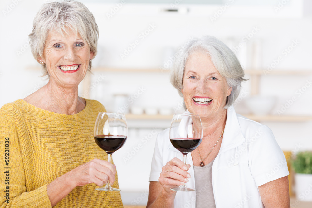 zwei ältere freundinnen trinken ein glas rotwein zwei ältere freundinnen trinken ein glas rotwein