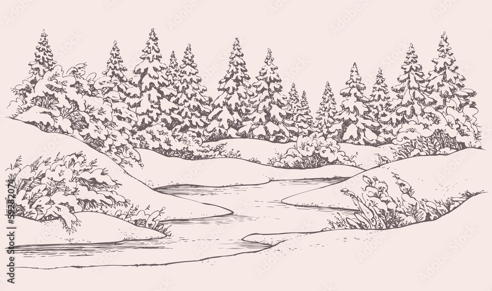 Obraz premium Wektorowy zima krajobraz. Jodły leśne w pobliżu zamarzniętej rzeki