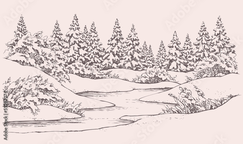 Vector winter landscape. Forest firs near frozen river