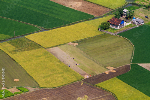 Bac Son Rice Field