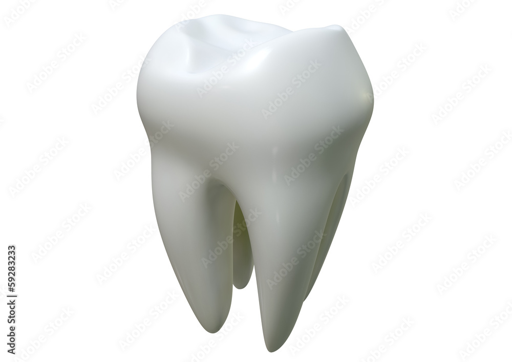 Single Tooth Single Tooth