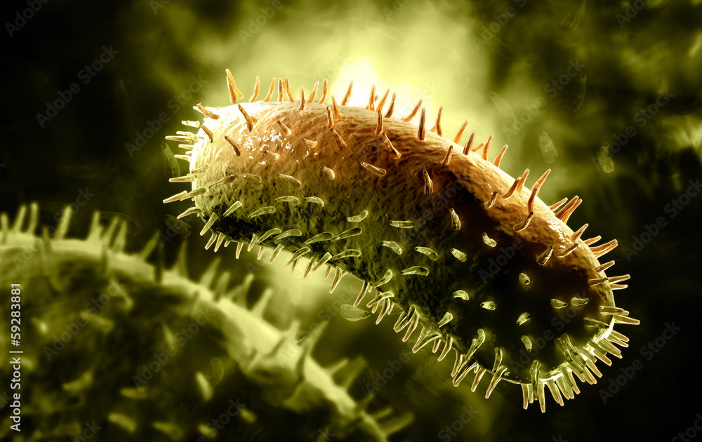 Fototapeta premium rabies virus