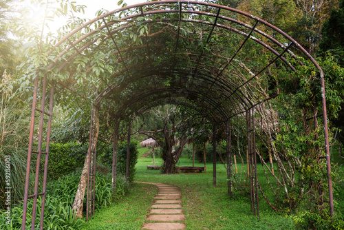 walkway with tree arch