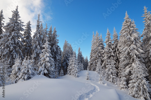 Winter landscape with path