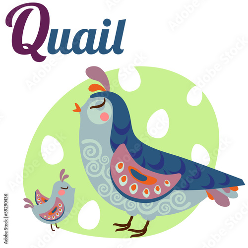QuailLetter
