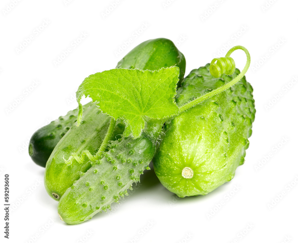 fresh cucumbers fresh cucumbers