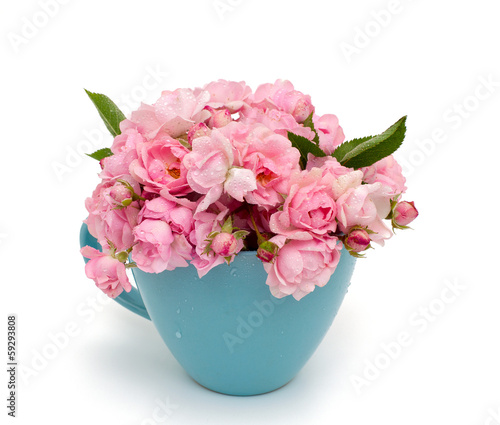 blue cup full of small pink roses over white