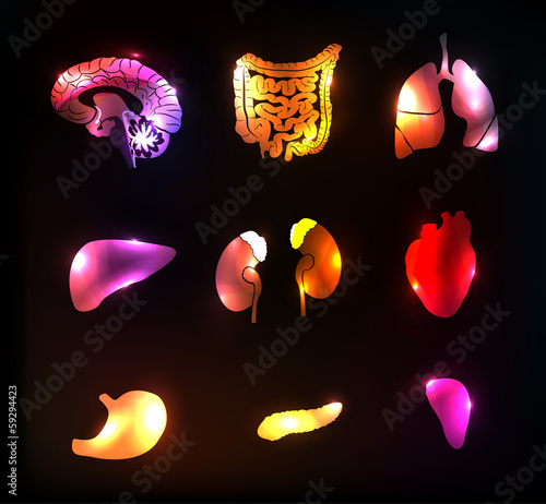 Abstract human anatomy colorful and bright designs.