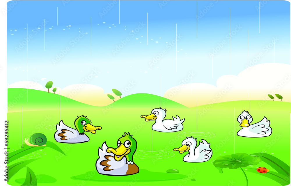 Ducks playing in the rain Ducks playing in the rain