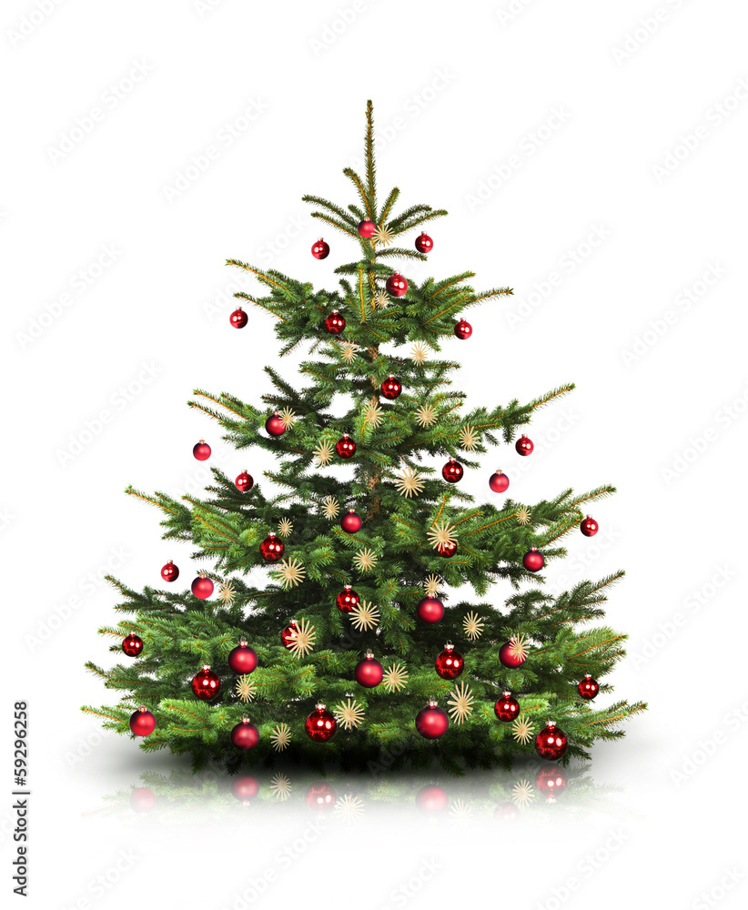 Xmas Tree Xmas Tree