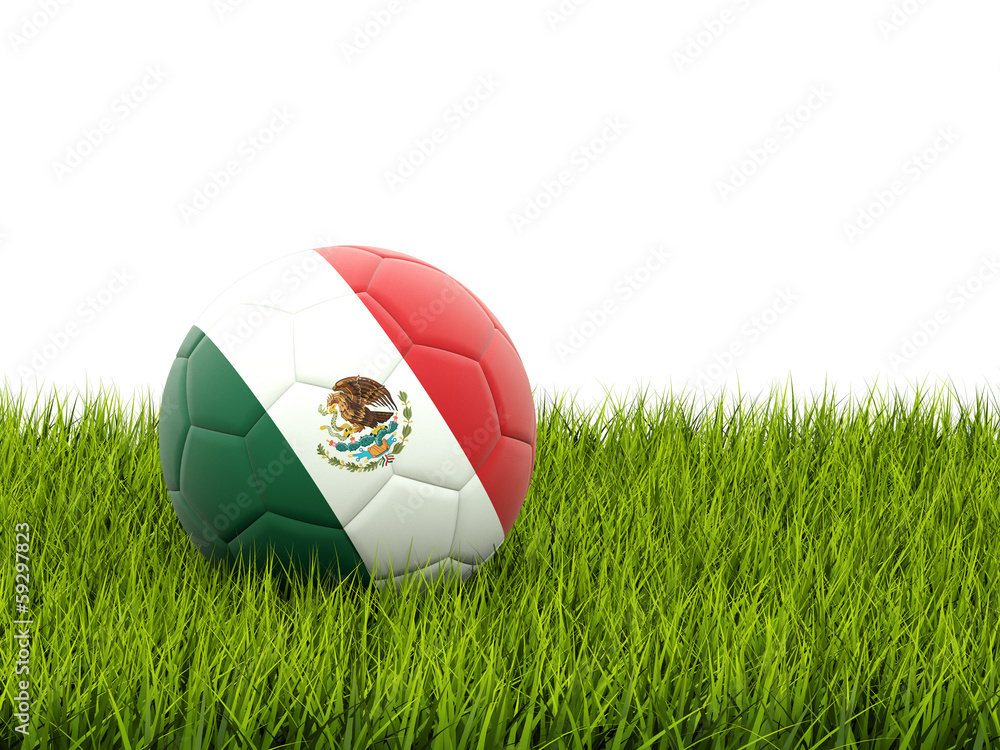 Fototapeta premium Football with flag of mexico