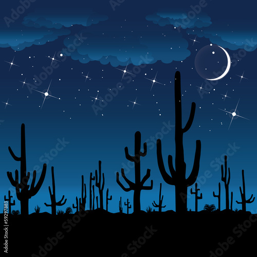 Saguaro Cactus at night. Vector background.