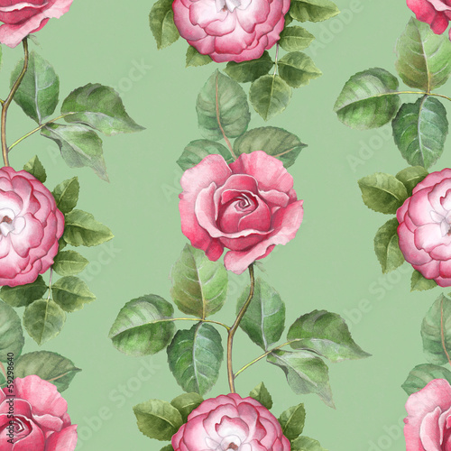 Watercolor pattern with rose illustration