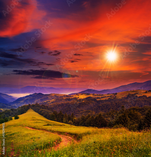 countryside meadow on a mountain slope at sunset © Pellinni