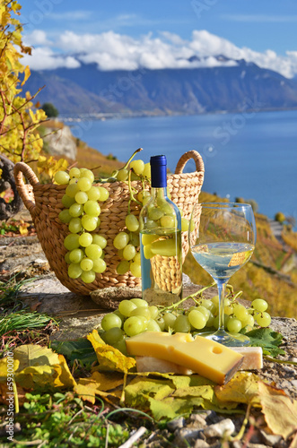 White wine and basket of grapes. Lavaux region, Switzerland