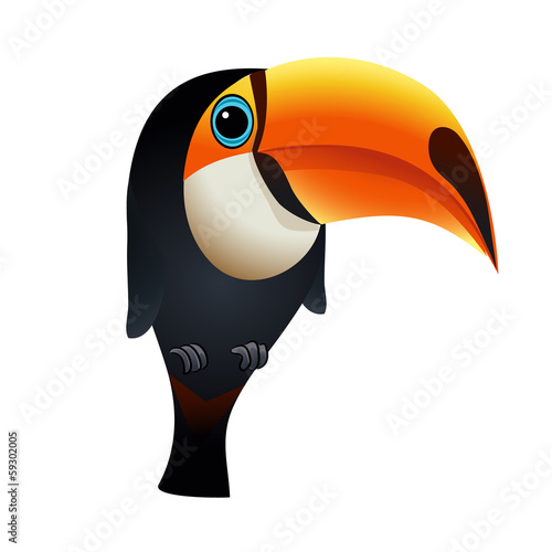 Illustration of toucan bird