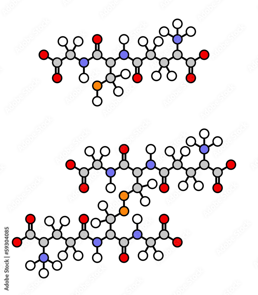 Glutathione antioxidant peptide, skeletal formula. Glutathione antioxidant peptide, skeletal formula.
