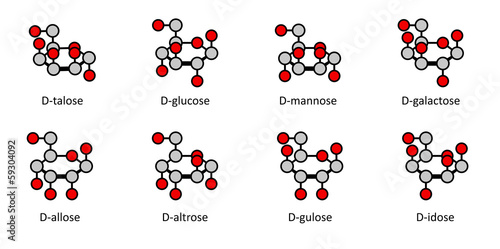 D-aldohexose sugars: allose, altrose, glucose, mannose, gulose